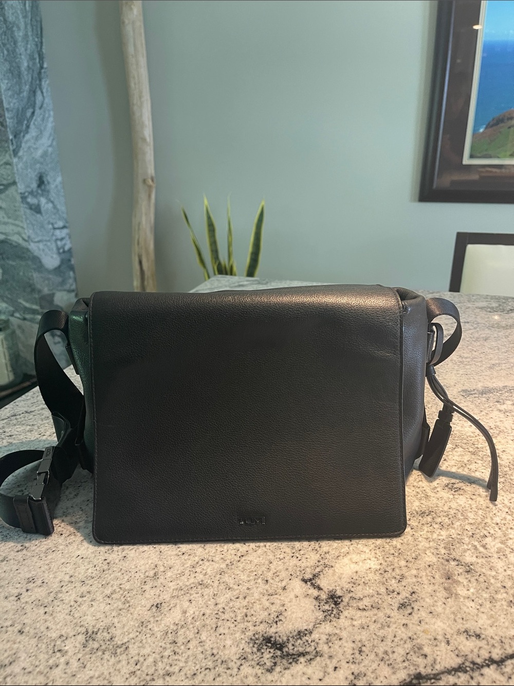Tumi Black Leather Handbag